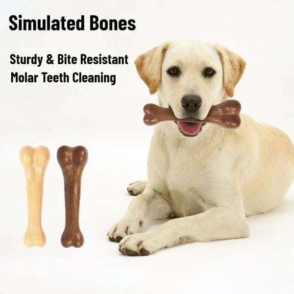 Pet Artificial Bones Chew Toys Natural Non-Toxic Beef Flavor Simulation Bones Toy for Small Large Dog Sturdy Bite Resistant Toy