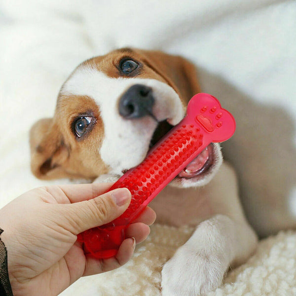 Pet Dog Chew Toys Rubber Bone Toy Aggressive Chewers Dog Toothbrush Doggy Puppy Dental Teeth Care For Dog Pet Accessories