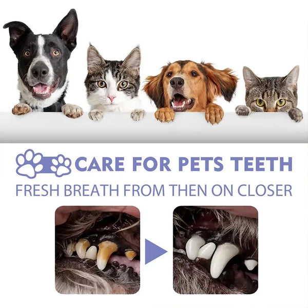 60ml Pet Spray Dog Oral Care Bad Breath Teeth Cleaning Freshener Pet Pet Remover Deodorant Supply Plaque Breath Care L2t8