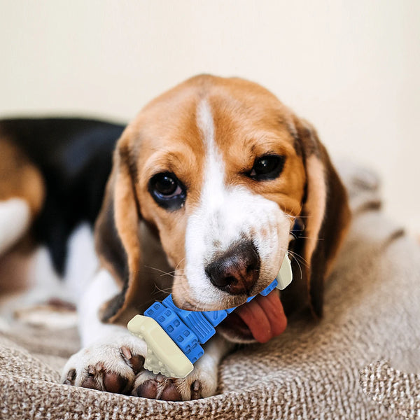 Tough Dog Toys for Aggressive Chewers geometry Chew Toys Durable Dog Bones Made Nylon Rubber  Big Indestructible Dog Toy