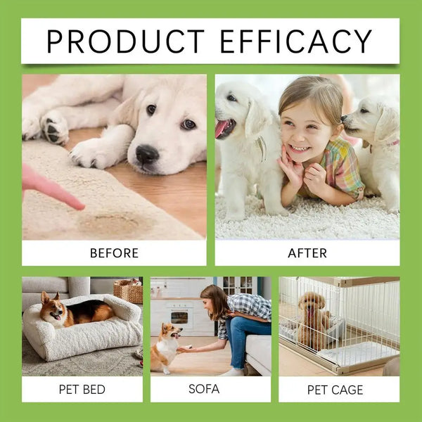 Pet Odor Eliminator Spray 100ml Dogs And Cats Urine Deodorizer Natural Cat Smell Great Liquid Perfumes Remove Odor Freshing Air