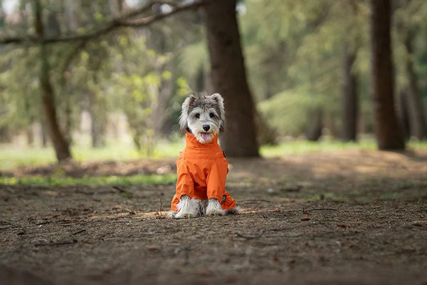 Dog Raincoat with Harness Waterproof Pet Jumpsuit for Small Medium Dogs Adjustable Reflective Puppy Rain Coat Chihuahua Rainwear