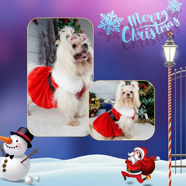 Pet Holiday Party Dress Red Princess Skirt Costume