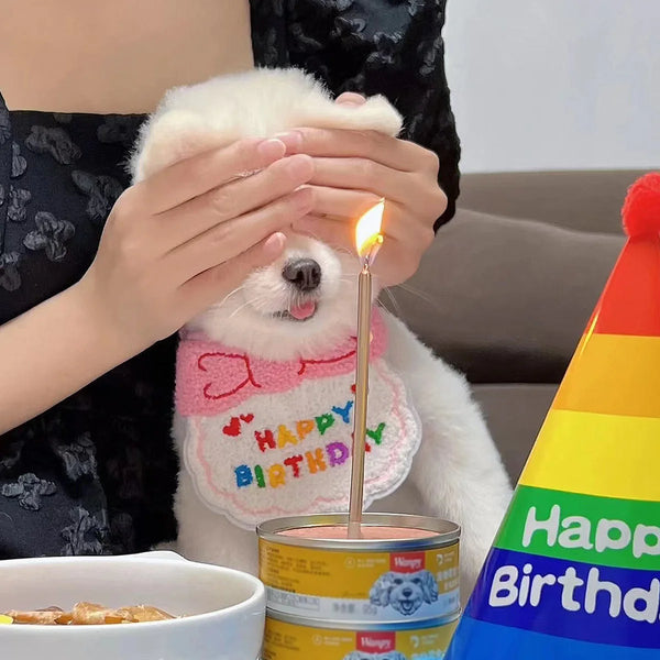 Pet's Birthday Special with this Adorable Dog, Cat Birthday Hat & Bandana Set!