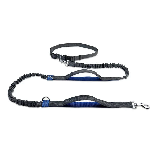 Retractable Hands Free Dog Leash for Running Judge Leash Large Dog Pet Supplies