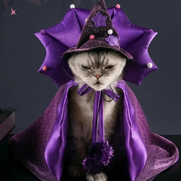 Pet Halloween Costume Wizard or Witch Costume Cloak Witch Hat Halloween For S/M Cats or Dogs