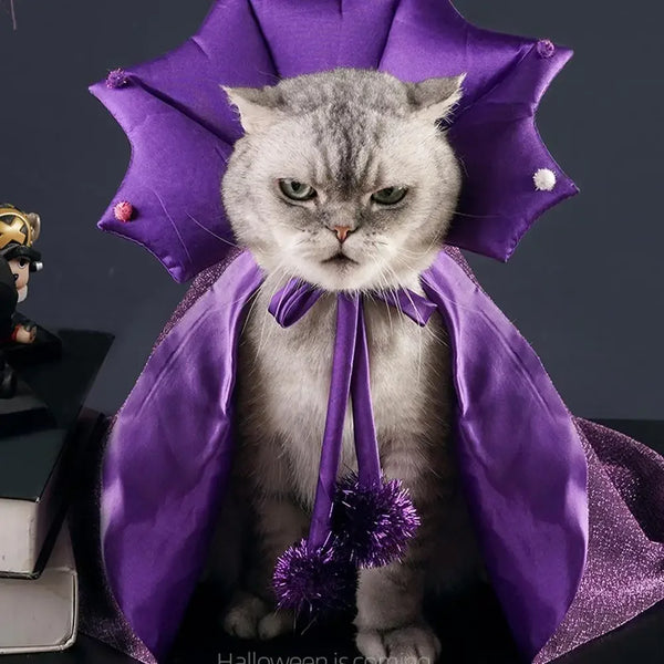 Pet Halloween Costume Wizard or Witch Costume Cloak Witch Hat Halloween For S/M Cats or Dogs