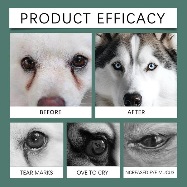 Tear tablets for dogs Gentle cleaning pet dog tear marks eye dirt eye care cleaning plate