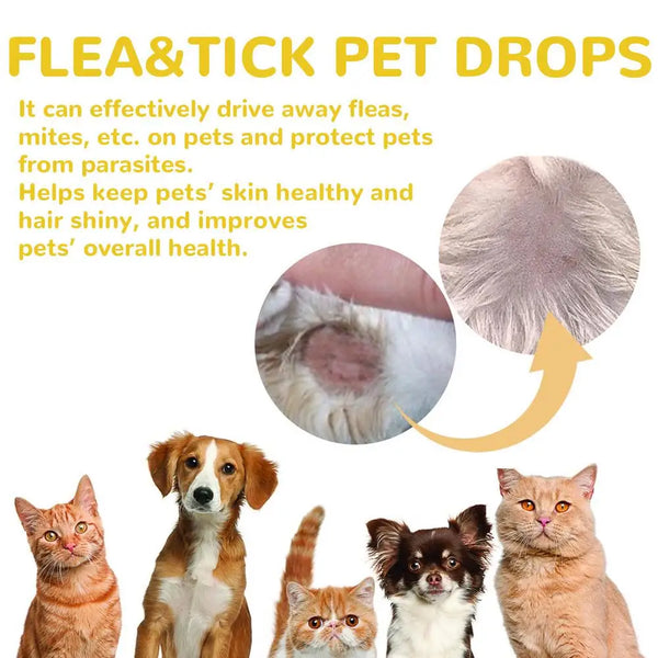 1pcs Dogs And Cats Anti Flea Drops Lice Remove Relieve External Tick Supplies Repellent Treatments Itching Drops Skin Pet