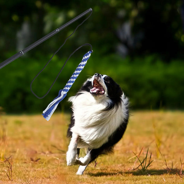Extendable Pole Dog Teaser Durable Pet Toy Cotton Rope Puppy Training Stick Interactive Flirt Pole Chasing Dog Toys