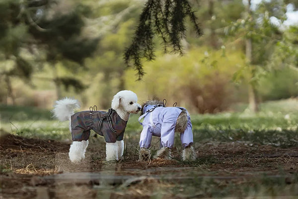 Dog Raincoat with Harness Waterproof Pet Rain Jacket for Small Dogs Adjustable Reflective Dog Rain Overalls with 4 Legs