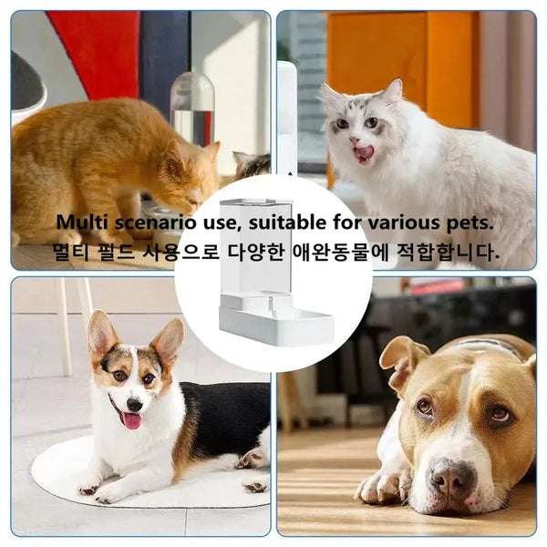 Pet Automatic Feeder Dog Feeding And Water Dog Accessories Cat Drinking Water Flowing Water Without Inserting Electric Kettle