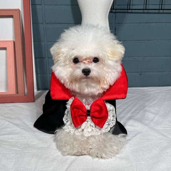 Pet Halloween Vampire Cape for Small or Medium Dogs