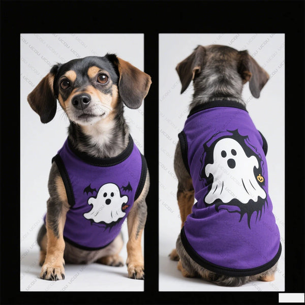 Halloween-Spooky Sweater Pet Attire  Cute Quick-drying Fabric