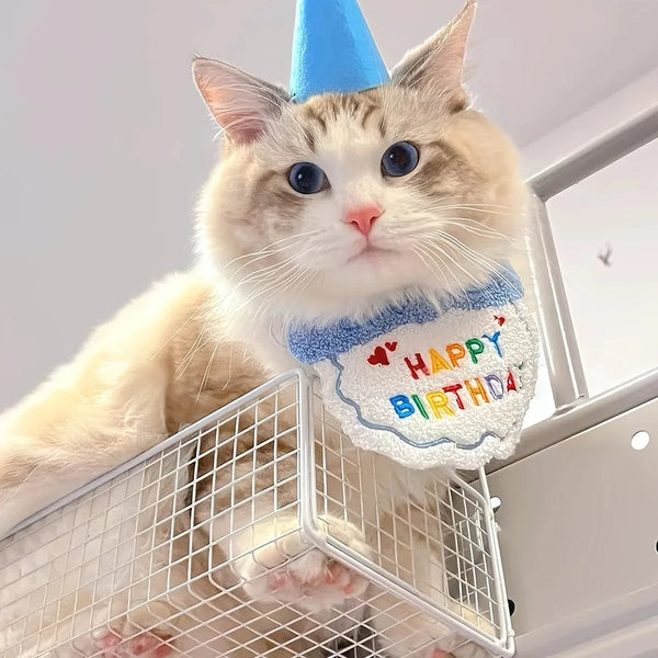 Pet's Birthday Special with this Adorable Dog, Cat Birthday Hat & Bandana Set!
