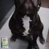 Yegbong Pet Cleaning And Desalinating Nevi Meat Granules Chicken Eye Skin Care Wart Treatment Liquid
