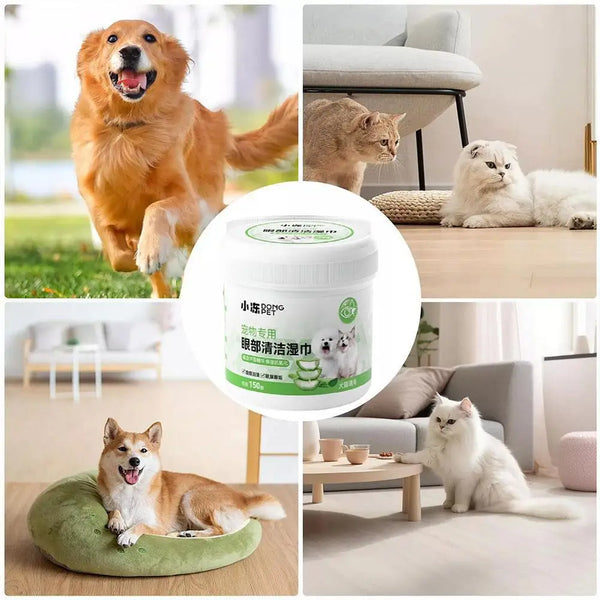 Pet Cleaning Tear Stain Wipes Remove Dirt Stains Long-lasting Gentle Eye Cats Freshnes Care Non-irritating Dogs W8A1