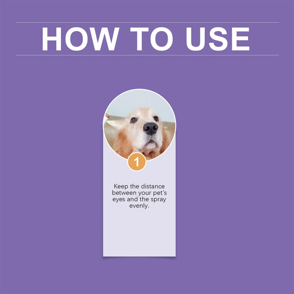 Yegbong Spray Gently Cleans Tears Pet Eye Moisturizing Care Spray