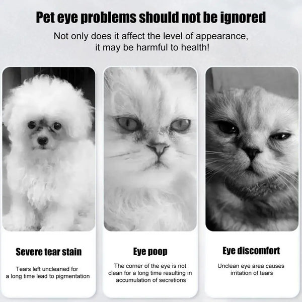 Dog Tear Stain Powder Gentle Tear Stain Remover Powder Tears Powder Non-Irritating Absorbing Pet Supplies Dog Eye Care With