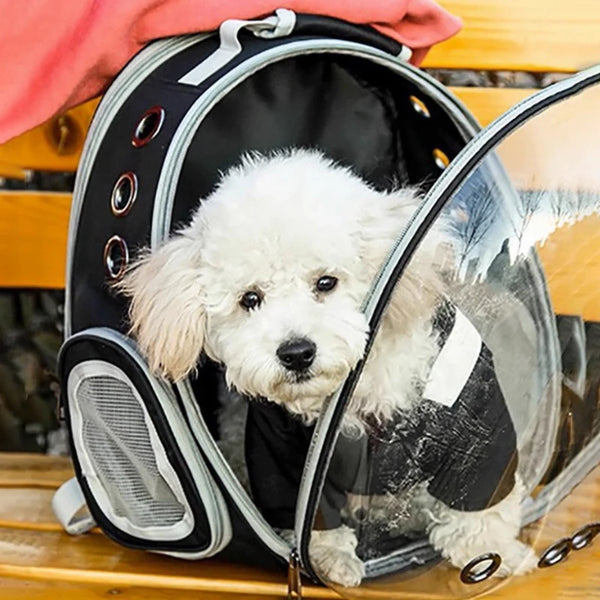 Portable Pet Backpack for Outdoor Use for  Small Cats Space or Small Dogs Breathable and Transparent