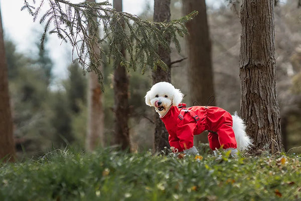 Dog Raincoat with Harness Waterproof Pet Jumpsuit for Small Medium Dogs Adjustable Reflective Puppy Rain Coat Chihuahua Rainwear
