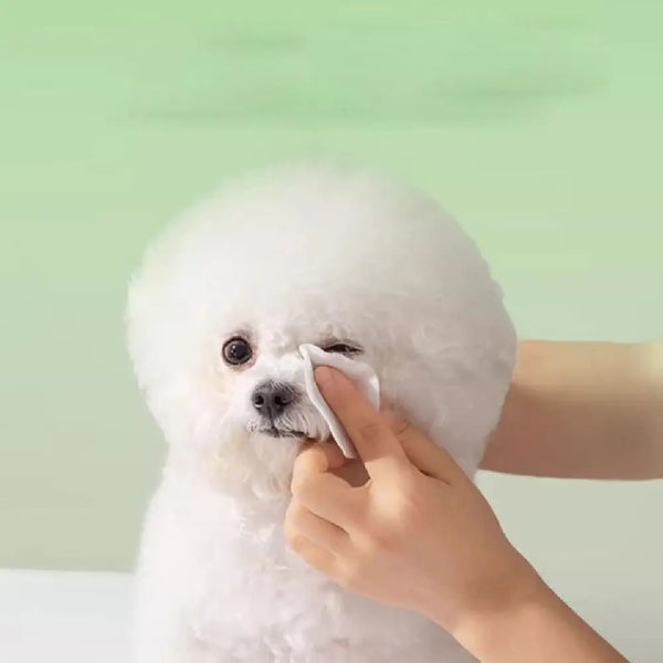 Pet Cleaning Tear Stain Wipes Remove Dirt Stains Long-lasting Gentle Eye Cats Freshnes Care Non-irritating Dogs W8A1