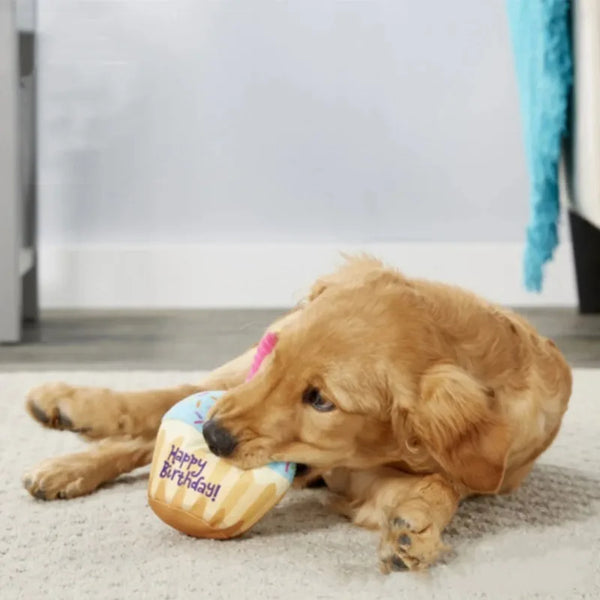 Birthday Cake Dog Toy Soft Plush Squeaky with Colourful Candles Durable Funny Stuffed Chew for Large Breeds Birthday Gift scarf