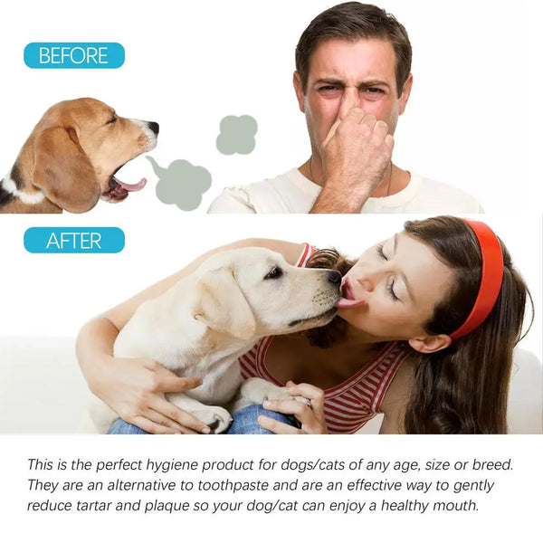 50Pcs Presoaked Dog Toothbrushes Soft Pet Fingers Toothbrush Dog Cat Cotton Brush Teeth Oral Cleaning Kitten Effective Care