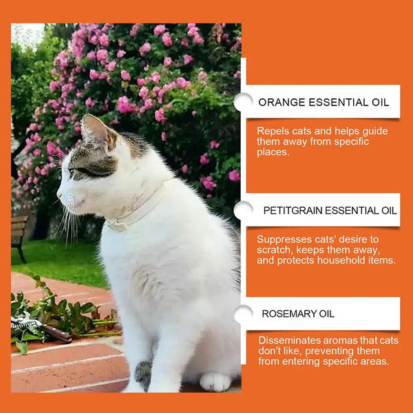 100ML NEW Cat Repellent Spray Keep Pets Away From Anti-scratching And Anti-chewing Household Spray Pet Accessories