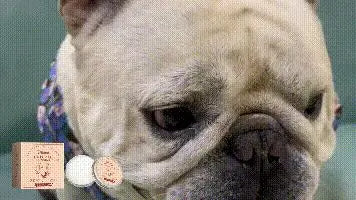 Yegbong Pet Tear Scar Cleaning Cream Gently Cleanses Pet Cats Dogs' Tear Stains, Caring For Eye Care And Cleaning Cream