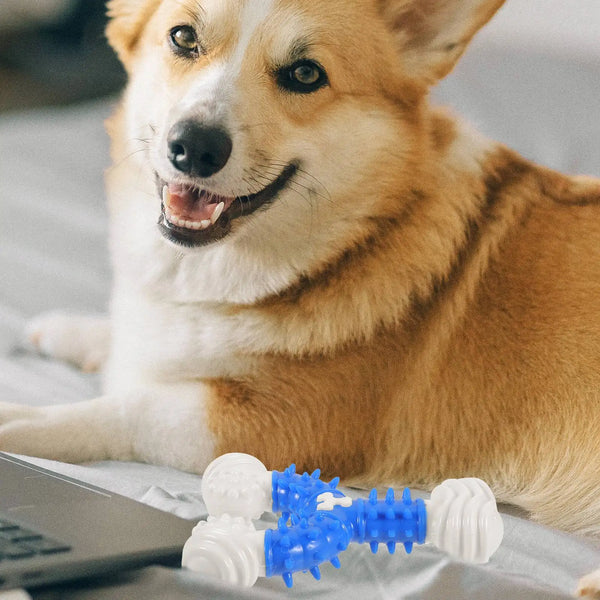 Durable Nylon Dog Chew Toys Bones for Small Medium Large Dogs Puppy Interactive Squeaky Teeth Cleaning Blue Easy Clean Pet Toy