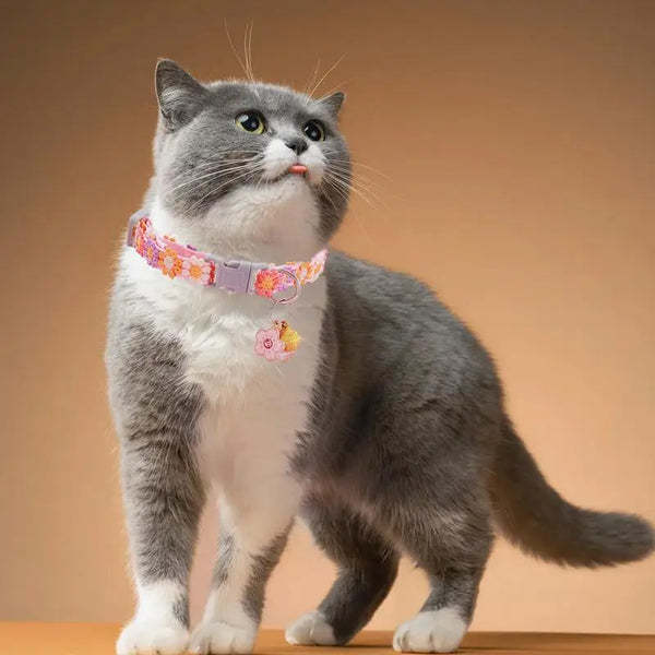 Kitten Collar Breakaway Adjustable Dog Collar with Bell Pet Supplies Cat Accessories Cute Kitten Costume Neck Decor for Puppy