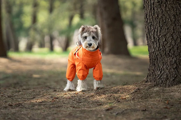 Dog Raincoat with Harness Waterproof Pet Jumpsuit for Small Medium Dogs Adjustable Reflective Puppy Rain Coat Chihuahua Rainwear