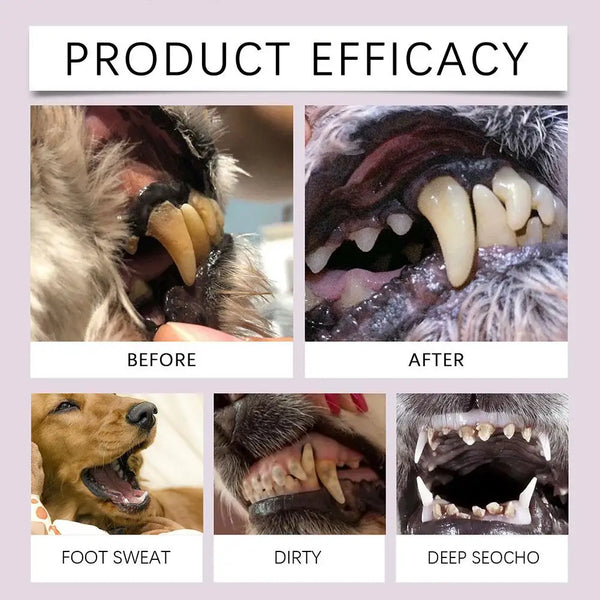Pet Teeth Cleaning Tools Pet Grooming Toothbrush Cleaning Scraper Pen Tartar Dog Remover Dental Kit Stain Cleaning Tartar A7Z4