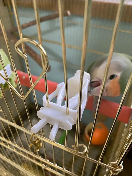 Cute Small Pet Bird Food Holder Parrot Fruits Vegetables Clip Cuttlefish Bone Feeder Device Clamp Bird Cage Accessories Oiseaux
