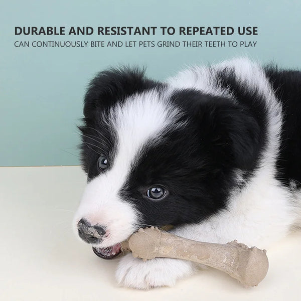 Dog Gnawing Bone Toys Pet Toys Simulated Bones Gnawing Resistant Grinding Chewing Teeth Pet Dog Dental Care Sticks