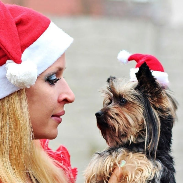 Christmas Pet Santa Claus Hat Pet Costume