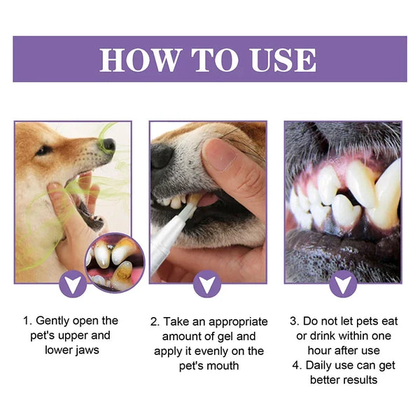 1/2PCS Pet Teeth Cleaning Tools Pet Grooming Toothbrush Cleaning Kit Tartar Remover Tartar Scraper Dog Dental Stain Cleaning Pen
