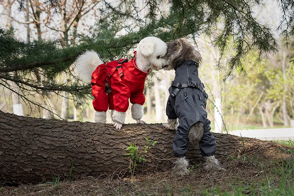 Dog Raincoat with Harness Waterproof Pet Jumpsuit for Small Medium Dogs Adjustable Reflective Puppy Rain Coat Chihuahua Rainwear