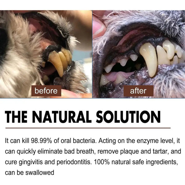 30ml Pet Tooth Cleaning Spray Dogs Remove Bad Breath Freshener Cats Oral Cleaning Dental Care Deodorization Spray Whitens Teeth