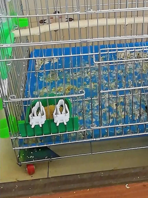 Cute Small Pet Bird Food Holder Parrot Fruits Vegetables Clip Cuttlefish Bone Feeder Device Clamp Bird Cage Accessories Oiseaux