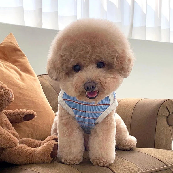 Cute Pet Vest Striped Dog Clothes Comfortable Dog Vest Breathable Puppy Shirt Summer Cat Vest Pet Pullover Bulldog Dog T-Shirt