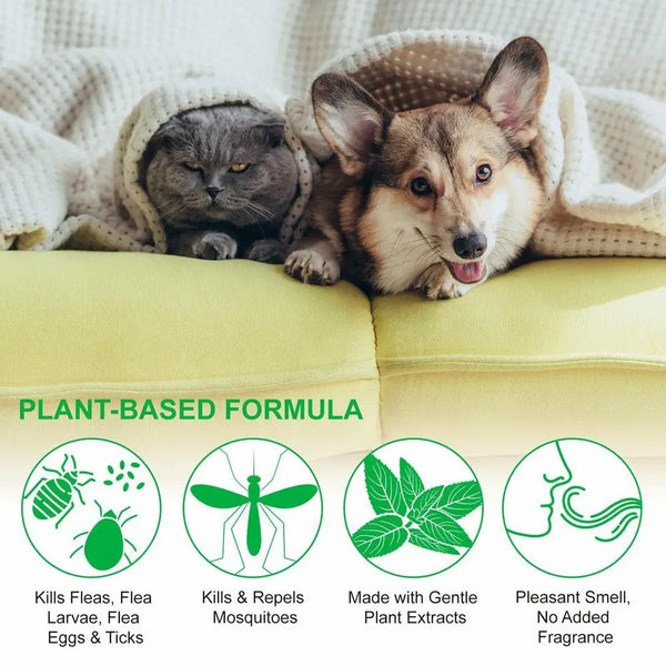 100ml Natural Care Flea And Tick Spray For Dogs And Cats Flea Spray For Indoor Outdoor Dogs And Cats Flea Spray Pet Protect