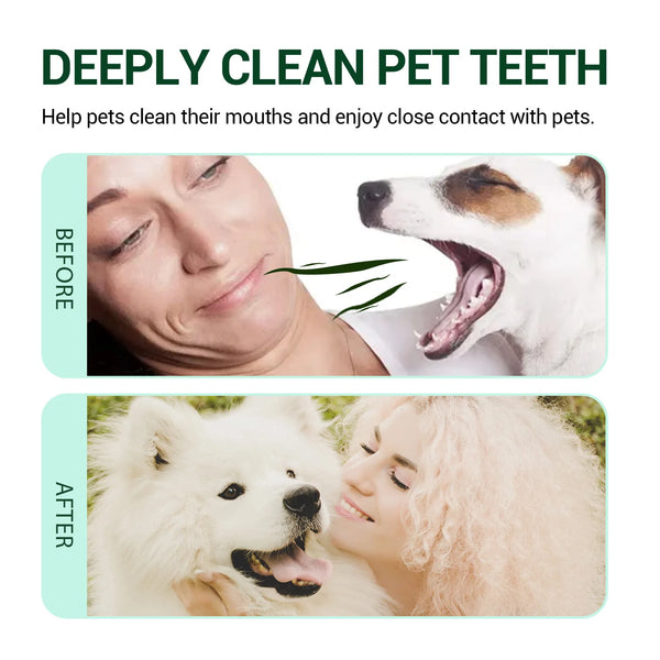 Dog Ear Cleaner Ear Dirt Odor Cleaning Mite Itching Control Teeth Whitening Mouth Freshener Remove Tartar Pet Oral Care Solution