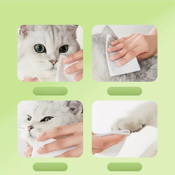 Pet Cleaning Wipes 80X Hydrating Pet Wet Pads Pet Supplies Cleaning Pads Natural Grooming Kit Care Dog Cat Ear Eye Cleaner For