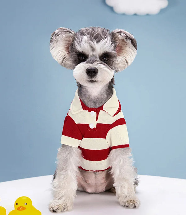 Pet Dog Polo Shirt Summer Dog Clothes Casual Clothing for Small Large Dogs Cats T-shirt Chihuahua Pug Costumes Yorkshire Shirts