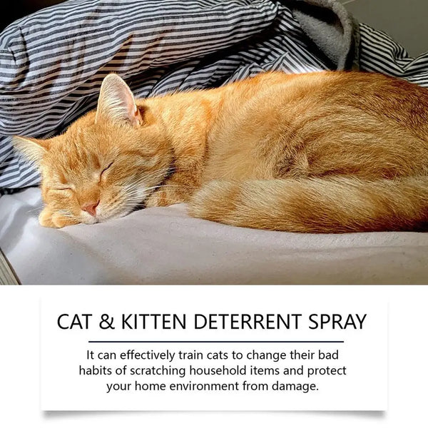 100ML NEW Cat Repellent Spray Keep Pets Away From Anti-scratching And Anti-chewing Household Spray Pet Accessories