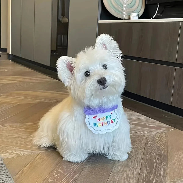 Pet's Birthday Special with this Adorable Dog, Cat Birthday Hat & Bandana Set!