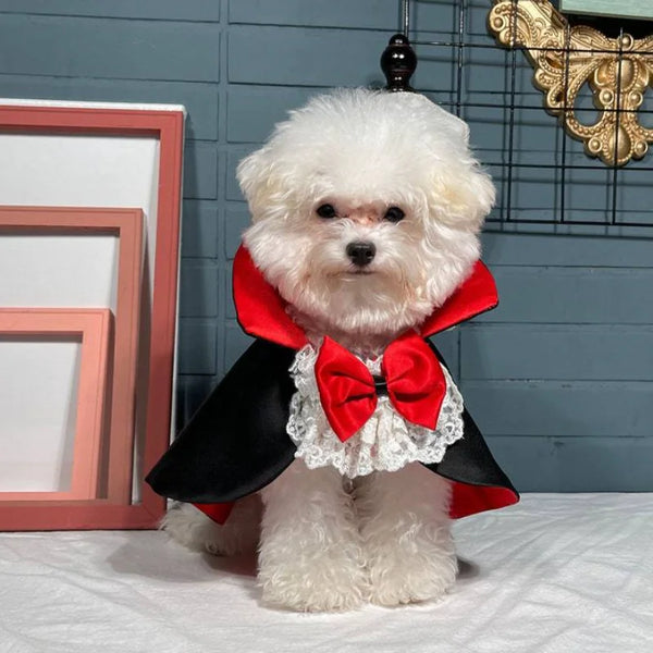 Pet Halloween Vampire Cape for Small or Medium Dogs