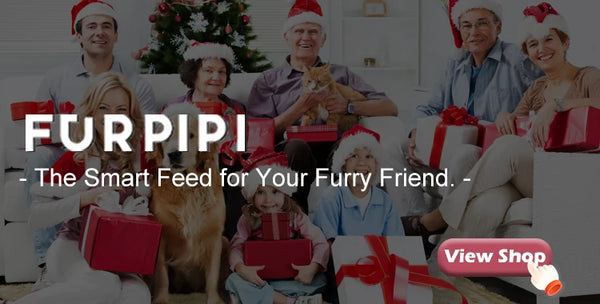 8L Automatic Cat Feeder With 1080p Camera Video 5G WiFi Cat Food Dispenser Pet Smart Voice Recorder Tuya APP Pet Auto Feeder